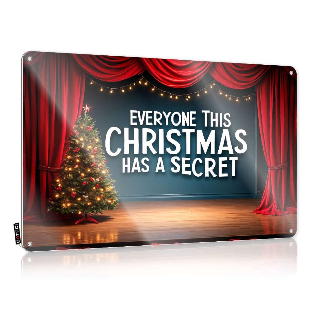 Painting Gift For Him Sign | Everyone This Christmas Has A Secret. Colorful Decorative Wall Art Ready To Hang For Mancave(20X30CM)