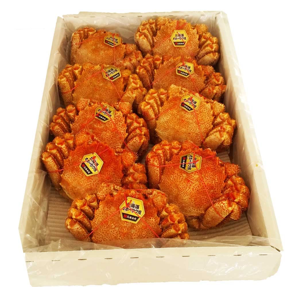 北海道産 毛ガニ 4キログラム 9尾入り 北海道産 毛ガニ 4キログラム 9尾入り