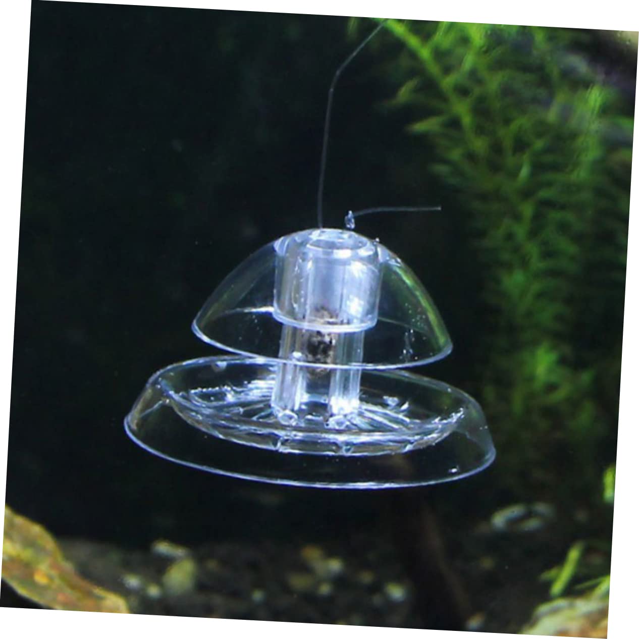 Toddmomy Caracoles para Herramienta Práctica para Caracoles Peceras De Usar Y Duradera Sin Contaminación 2 Piezas X 4