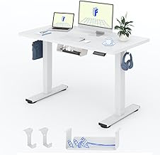 FLEXISPOT Electric Lift Up Desk with Whole Table 100 x 60 cm, Standing Desk Height-Adjustable Desk, Lift Table with Hooks Shelf and 4 Memory Buttons