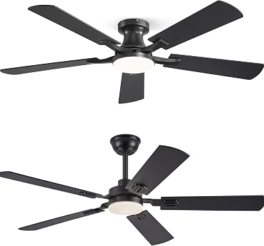 ZMISHIBO 52 inch ceiling fan