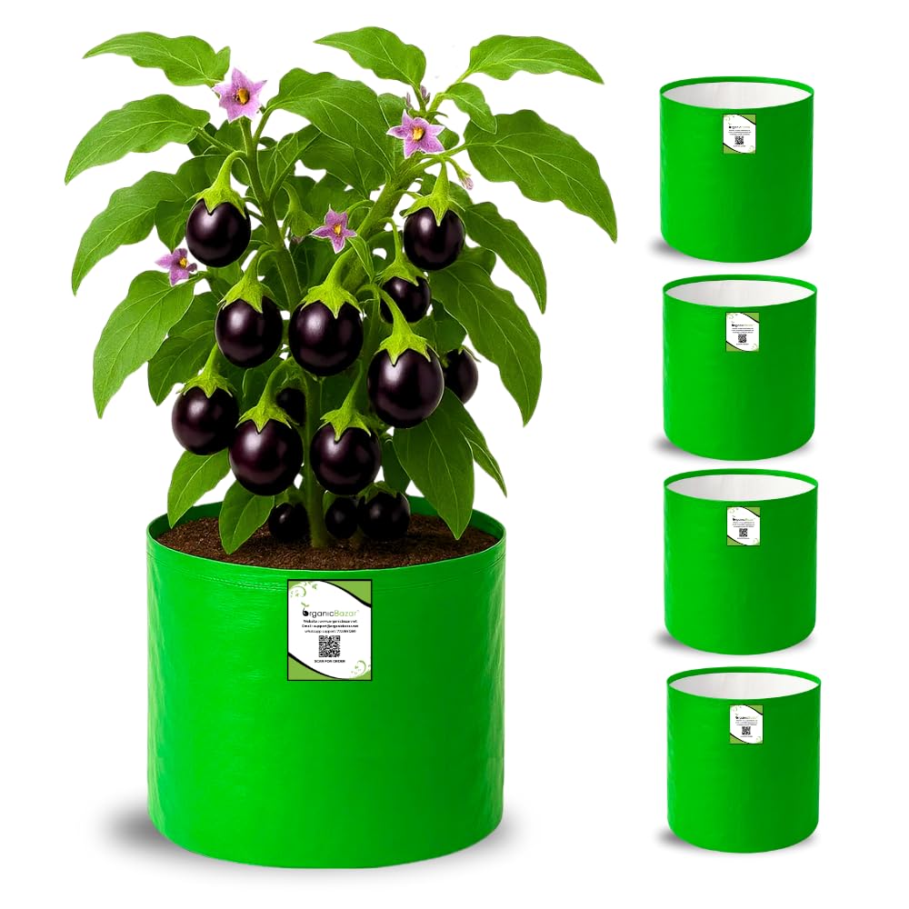 Big Fruit Plant Grow Bags - Organic Bazar (Pack of 2) -11 Big Fruit Plant Grow Bags - Organic Bazar (Pack of 2) -11