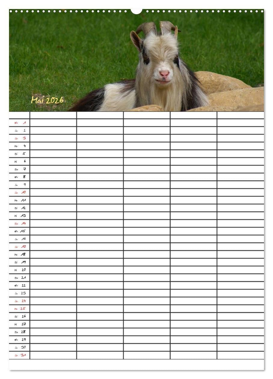 Bauernhoftiere Familienplaner (hochwertiger Premium Wandkalender 2026 DIN A2 hoch), Kunstdruck in Hochglanz: Nutz- und Haustiere (CALVENDO Tiere)