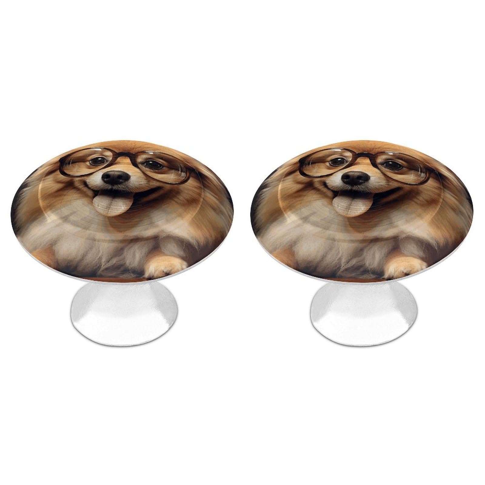 FekiLoot Pomeranian Dog Wearing Glasses Cabinet Knob Kitchen Drawer Knob Stainless Steel Round Drawer Pulls Modern Cabinet Hardware Vintage Dresser Drawer for Kitchen Bathroom Closet Dresser Cabinets