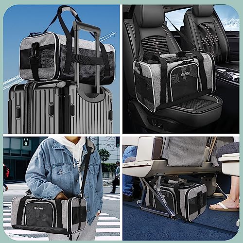 Petskd Transportadora para Animais de Estimação 17X12X8,5 Jetblue Allegiant Airline Aprovada, Bolsa