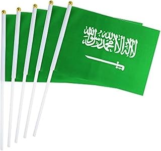 Kind Girl 25 Pack Saudi Arabia Saudi Arabian Flag Stick Flag Round Top National Country Flags, Party Decorations Supplies For Parades, World Cup, Festival Events, International Festival