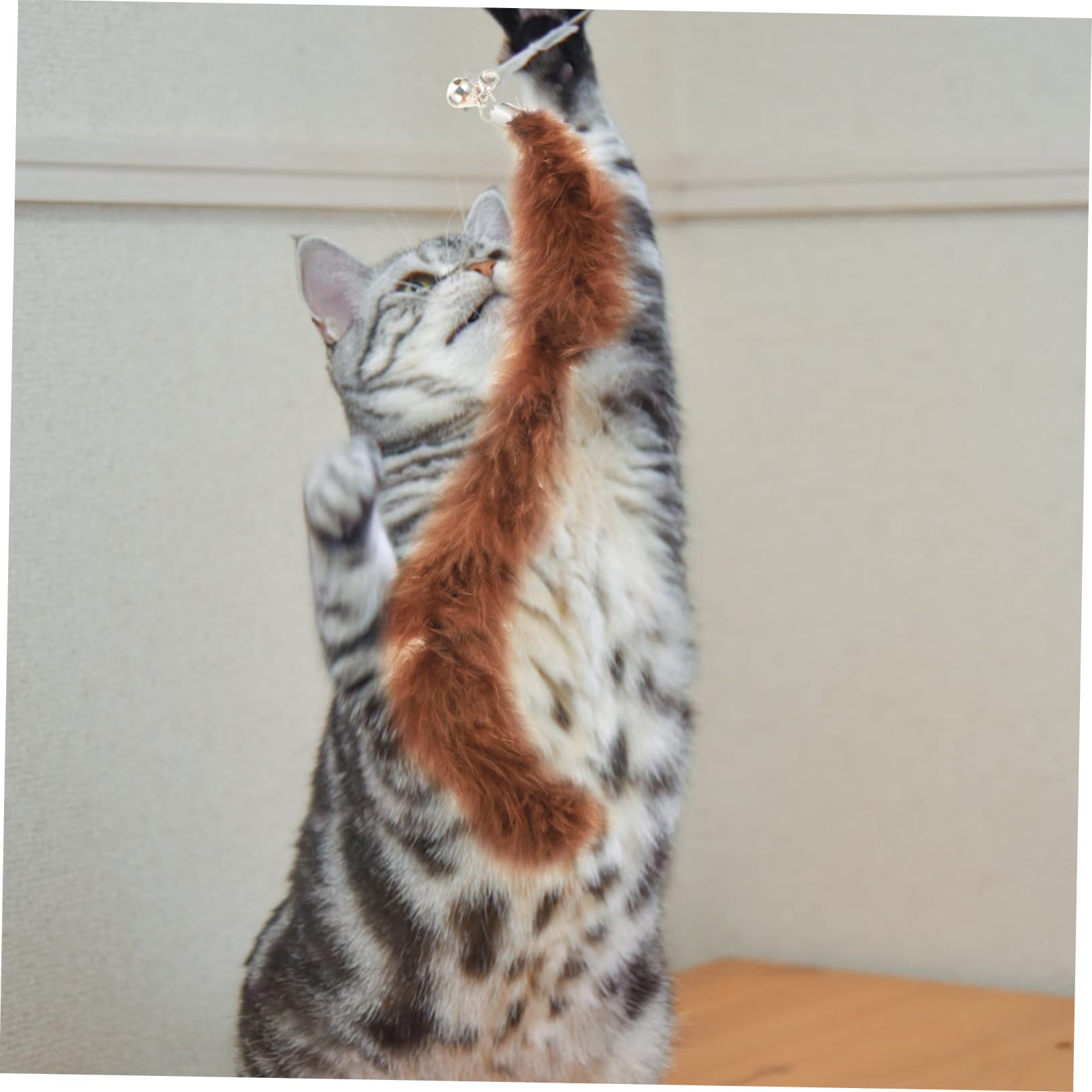 Beavorty 24stücke Teiliges Interaktives Katzenspielzeug Saugnapf Und Glocke Teaser-Sticks Für Aktives Spielen Und Selbstunterhaltung Von Katzen