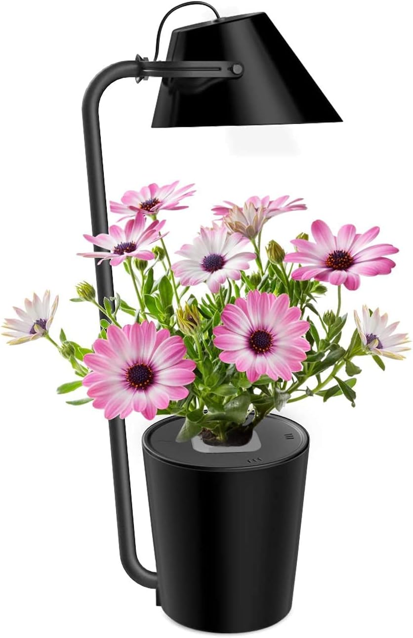 2 in 1 Hydroponics Growing System w/ Plant Growing Lamps & Table Lamp, Hydro Indoor Herb Garden w/ LED Grow Light & Eye Protective Reading Light, Plants Germination Kit for Kitchen, Countertop (Black)