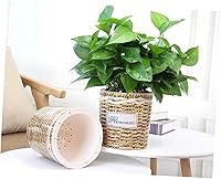 Vista 6 de MERRYHAPY 2 latas de riego para plantas de interior, contenedor transparente, violetas africanas, maceta tejida, maceta de riego automático, macetas