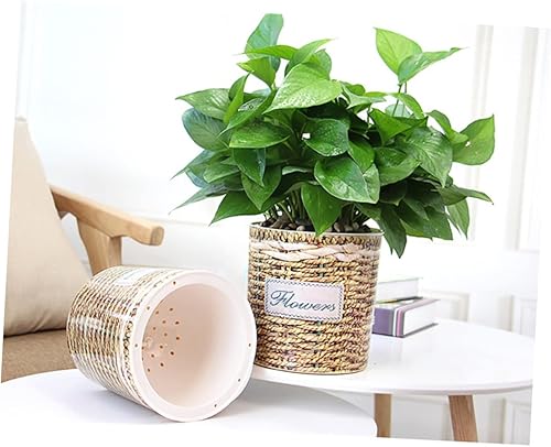 Miniatura 6 de MERRYHAPY 2 latas de riego para plantas de interior, contenedor transparente, violetas africanas, maceta tejida, maceta de riego automático, macetas