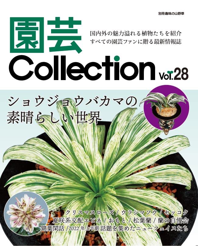 趣味の山野草 61B0ZhkcOYL.jpg