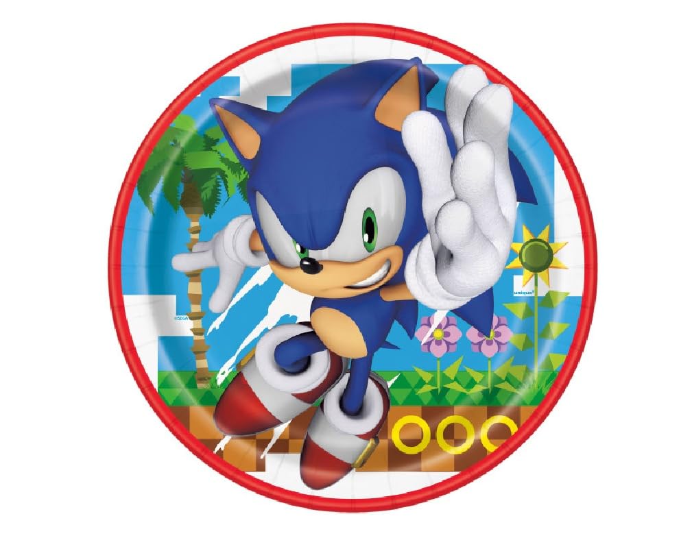 Unique Sonic Birthday Party Supplies Bundle Pack includes 24 Lunch Paper Plates 9"