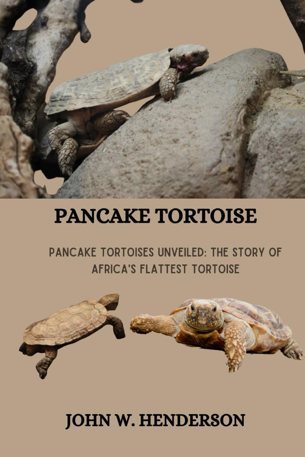PANCAKE TORTOISE: Pancake Tortoises Unveiled: The Story of Africa's Flattest Tortoise