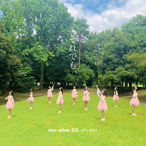 des ailes 26