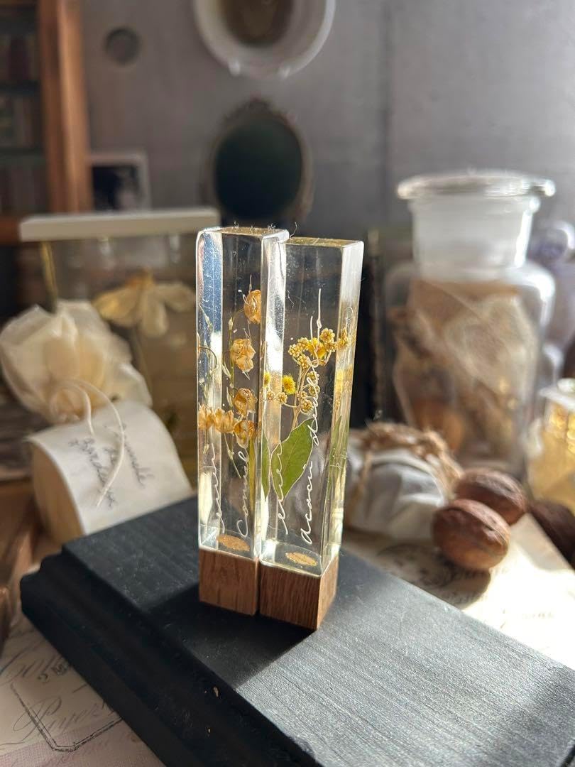 すずらん ミモザ 樹脂標本 筆記体 errer 気泡 植物標本 セット すずらん ミモザ 樹脂標本 筆記体 errer 気泡 植物標本 セット