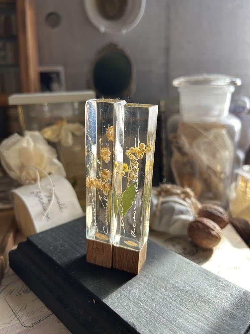 Amazon | すずらん ミモザ 樹脂標本 筆記体 errer 気泡 植物標本