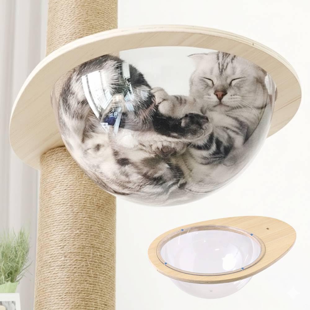 Amazon.co.jp: キャットタワー 宇宙船ボウル 透明 半球体 交換用 Amazon.co.jp: キャットタワー 宇宙船ボウル 透明 半球体 交換用