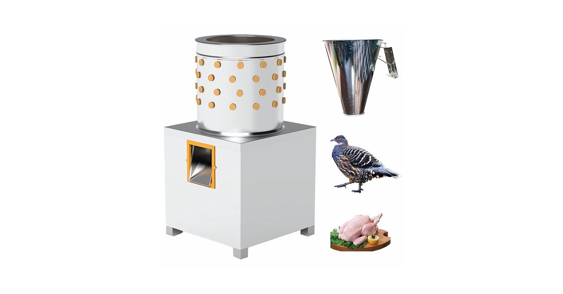 61B0o3kOhoL.jpg_BO30,255,255,