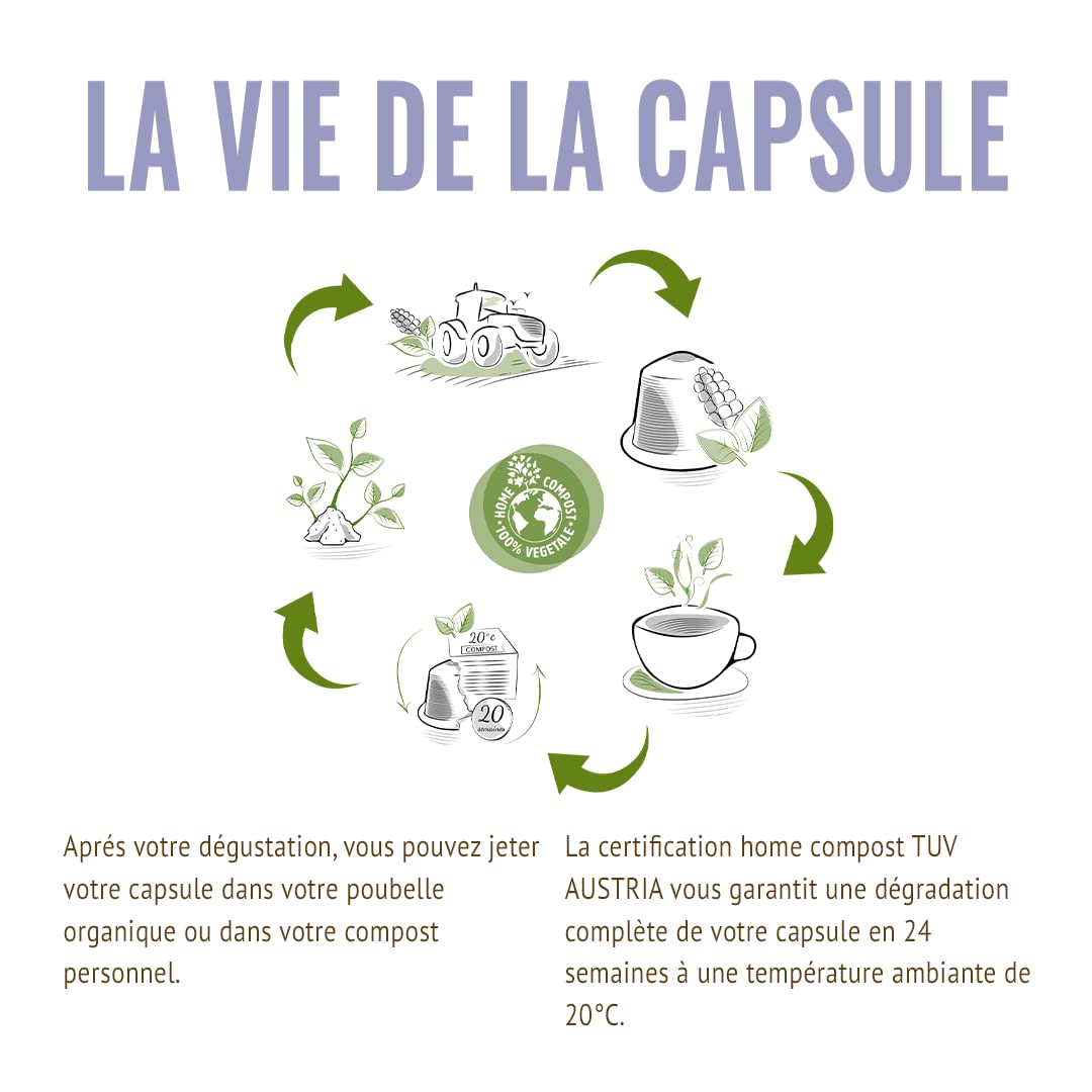 MOKA - 160 Capsules Café Bio d'excellence 100% Pur Arabica Mexique Honduras Ethiopie Pérou - Compatibles avec Nespresso - Intensité 6-8 - Home Compost - Expresso et Lungo - Torréfié en France