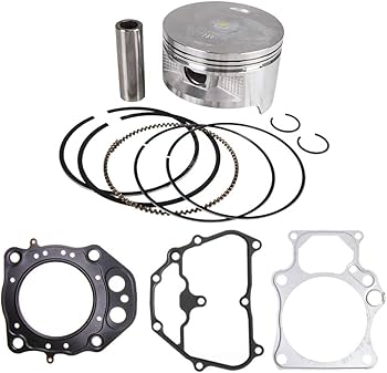 Amazon.com: NICHE Standard Bore Top End Repair Kit for Honda