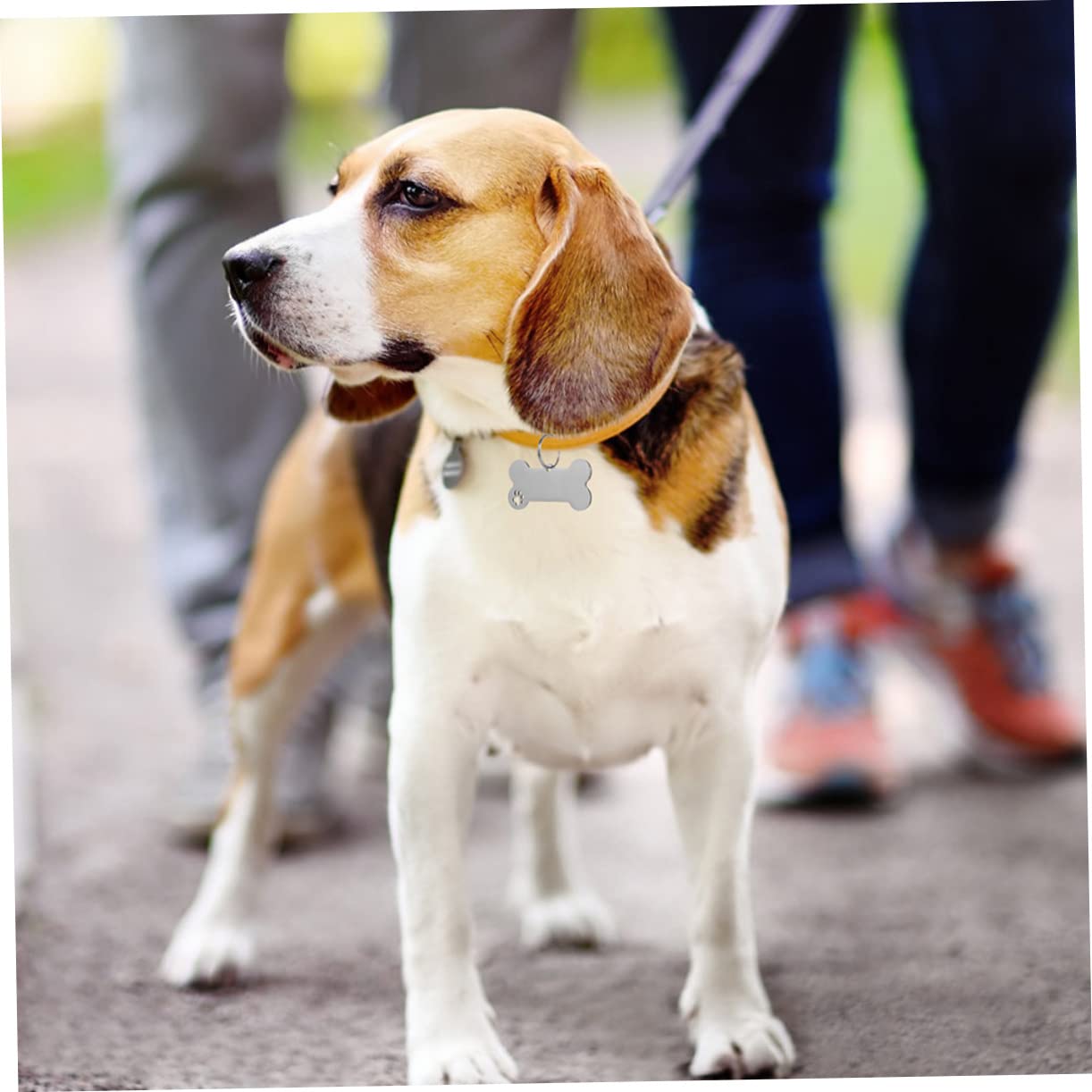 ORFOFE 30stücke Hundemarken Aus Edelstahl Personalisierbare Haustieranhänger Für Hunde Und Katzen Anti-verlust Namensschild Pfoten-design Für Kleine Tiere
