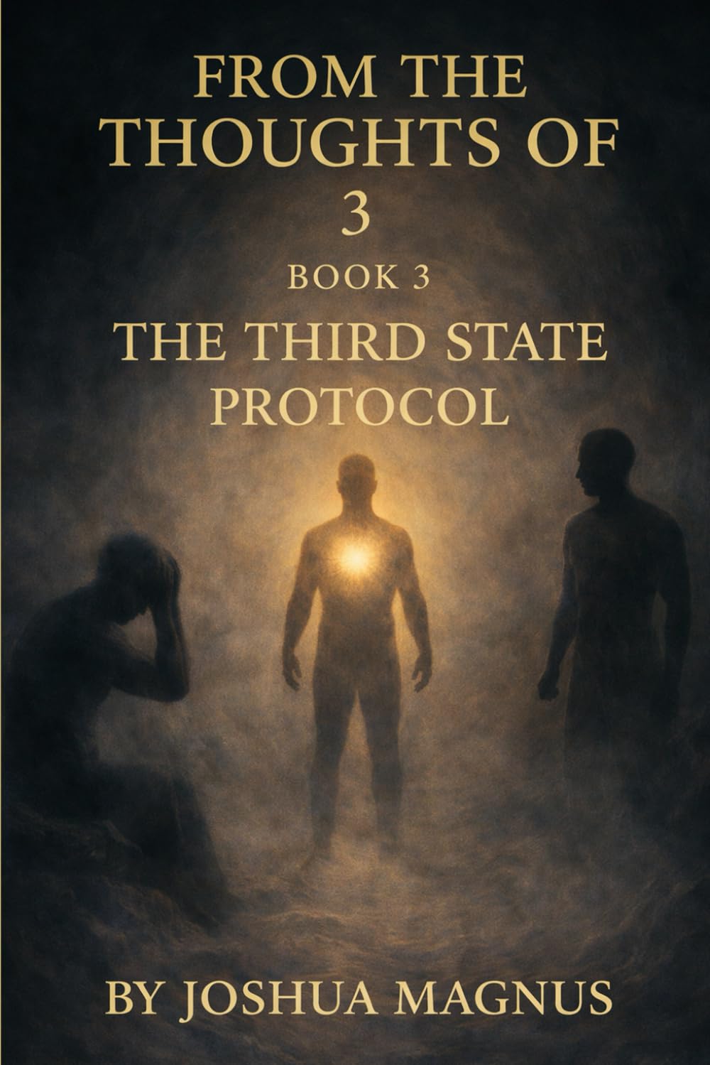 From The Thoughts Of 3: The Third State Protocol (The consciousness collection)