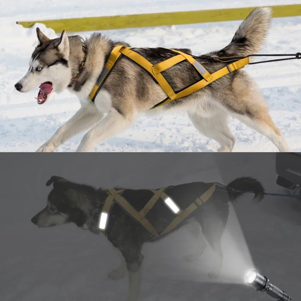 Nylon Regulowany Odkryty Odblaskowe Trening Narciarski dla psów Zaprzęganie Sanie Zaprzęganie Ryby Trakcja dla dużych psów Husky Alaska,Czerwony,Metro
