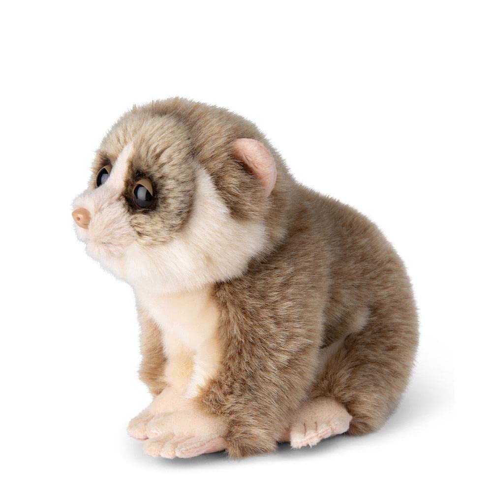 WWF Plüsch Faulaffe animale [Loris] (18 cm)