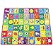 teytoy Baby Rug for Crawling - How Many are There? Kids Area Rugs Educational Play Mat for Room Decor, Count Game, Learn Animals, Expressions, Family Beach Carpet Outdoor Indoor Gift 3.4' x 5'