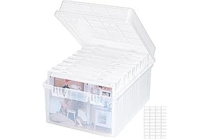 Lifewit Monument Photo Storage Box