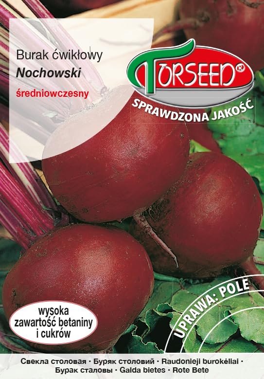 Nochowski nasiona buraków, ciemna wiśnia, wysoka zawartość betaniny, wydajność 55-60 ton, wysiew od kwietnia do lipca, idealne do celów kulinarnych (10 g)