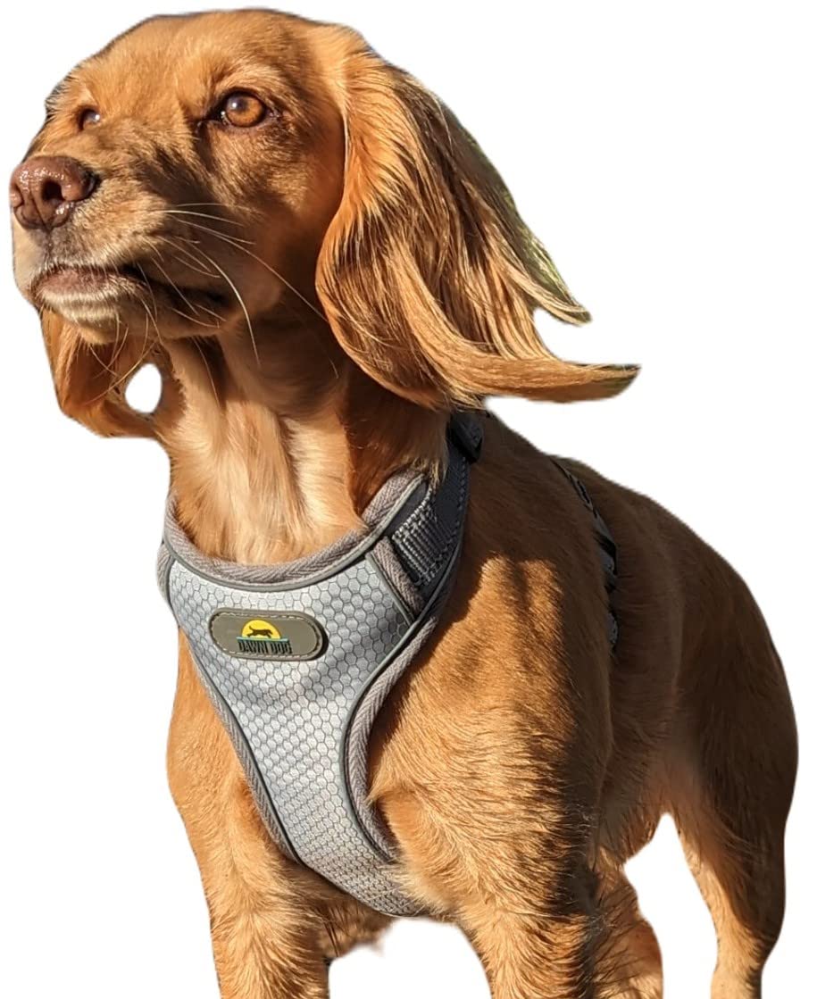 Dawn DogMedium Dog Harness with Secure Locking Clip | Soft & Padded Y Shaped Design with Anti Choke Fit | Extra Reflective for Greater Visibility & Safety | Escape Proof, Adjustable, Lightweight