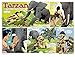 Tarzan: The New Adventures