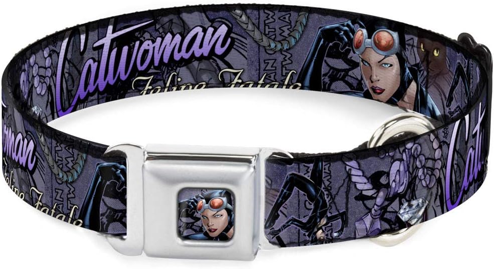 Dog Collar Seatbelt Buckle Catwoman Nine Lives of A Feline Fatale Pose2 Jewelry Cat 9 to 15 Inches 1.0 Inch Wide