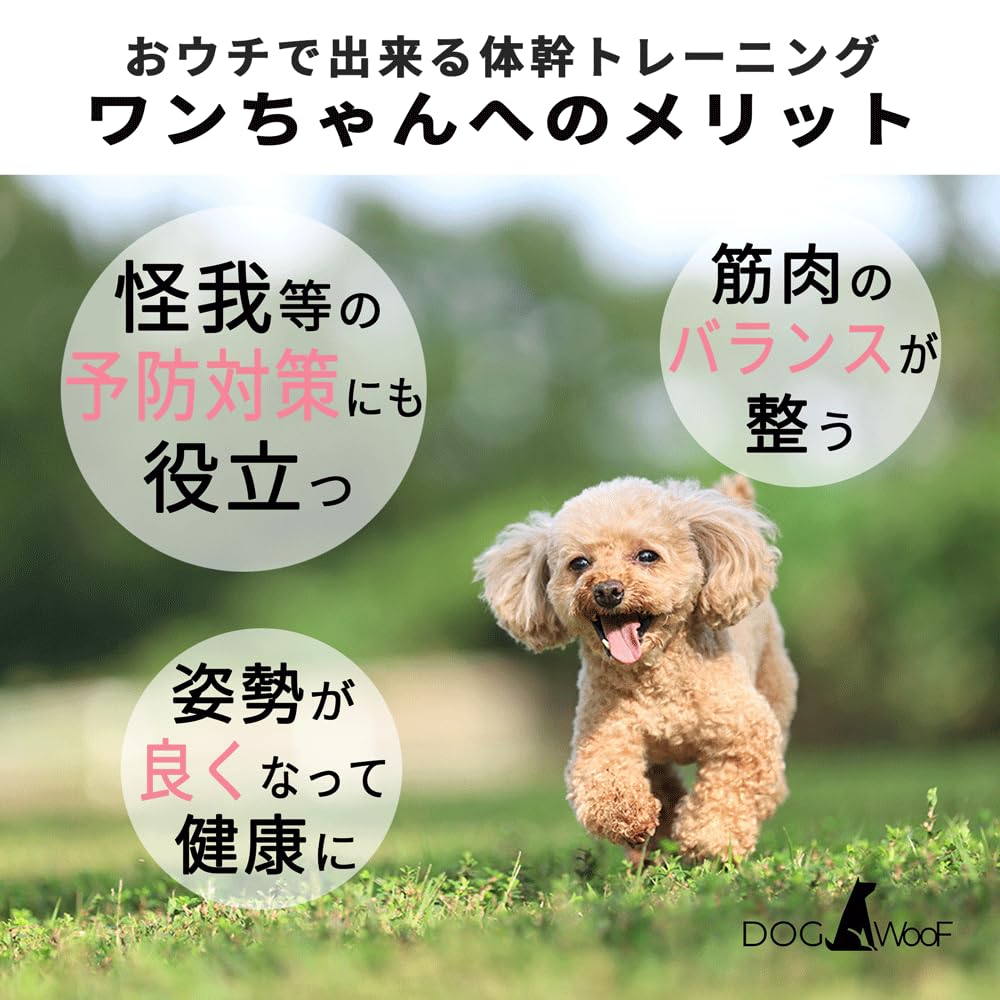 Amazon | DOG WooF バランスボール 犬 ベース付 ドッグ ドーナツ