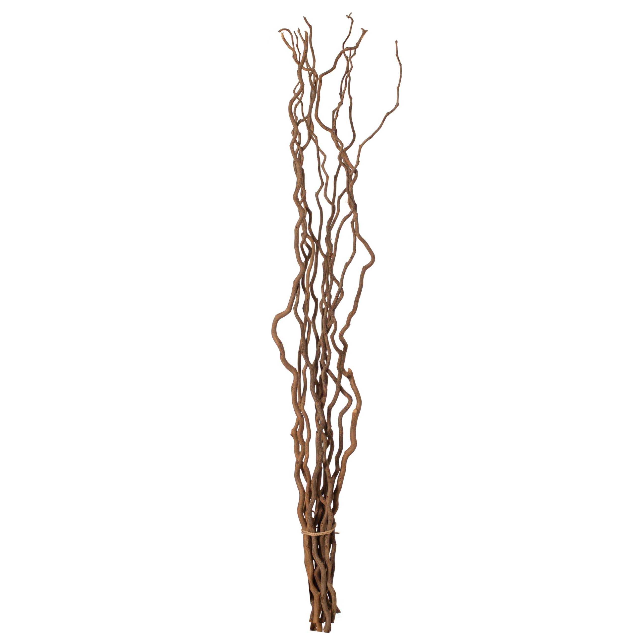 60" Natural Decorative Dry Branches Authentic Mulberry Sticks for Home Decoration and Wedding Craft