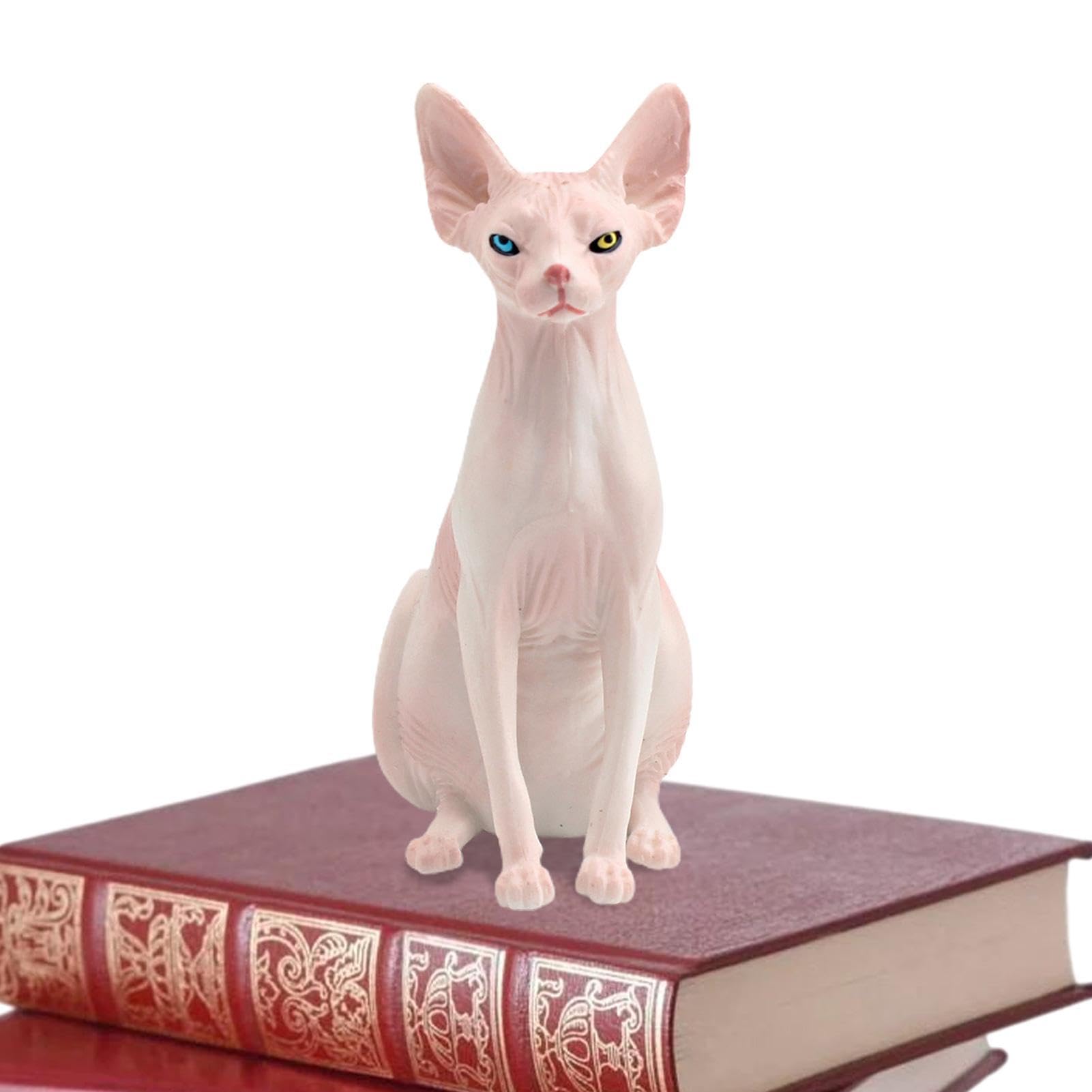 公式【1JINN STUDIO】猫スリムフィットヒプセクスカート(2color) Amazon.co.jp: Shenrongtong かわいい無毛猫モデル | ミニチュア