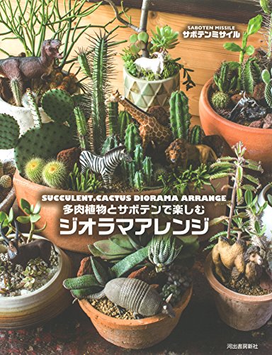 多肉植物とサボテンで楽しむ ジオラマアレンジ