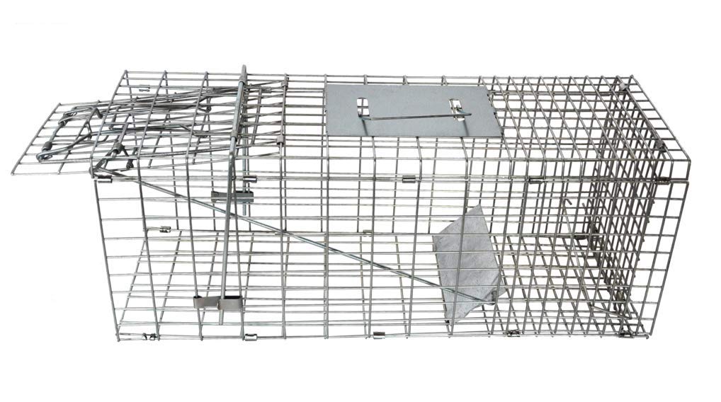 Humane Single Entry, Non-Foldable Animal Cage Trap (Black,White)