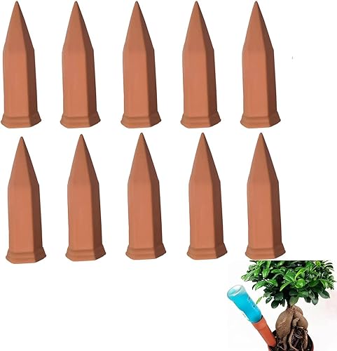 Lorcnz Picos de riego de terracota, 10 piezas de arcilla con autorriego para macetas, picos de riego automático, dispositivos de riego para plantas