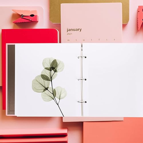 Miniatura 8 de álbum de tarjetas para flores prensadas almacenamiento folleto colección libro espécimen cuaderno de espécimen cuaderno de bricolaje almacenamiento