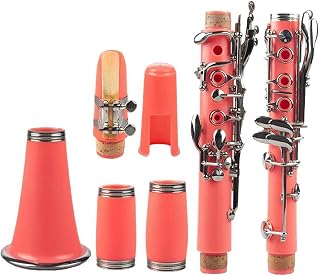 Cuerpo de plástico rosa Bb superficie de 17 teclas clarinete niquelado instrumento de viento de madera para principiantes Instrumentos De Clarinete