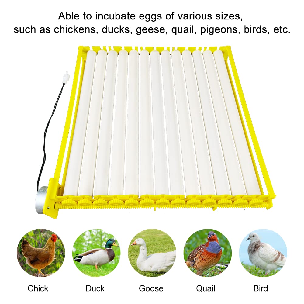 nouveau Design automatique plateau à oeufs rotatif 13 Tubes plateau de tournage d'oeufs avec moteur 12V / 220V éclosoir pour poulets