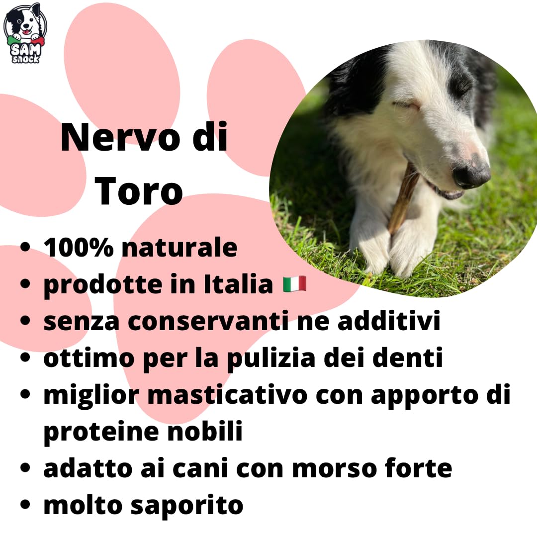 Sam Snack Nervo di toro/verga di toro 100% naturale 25 PZ 15 CM masticativi premium per cani prodotto in Italia adatto a dieta BARF PEZZI SPESSI