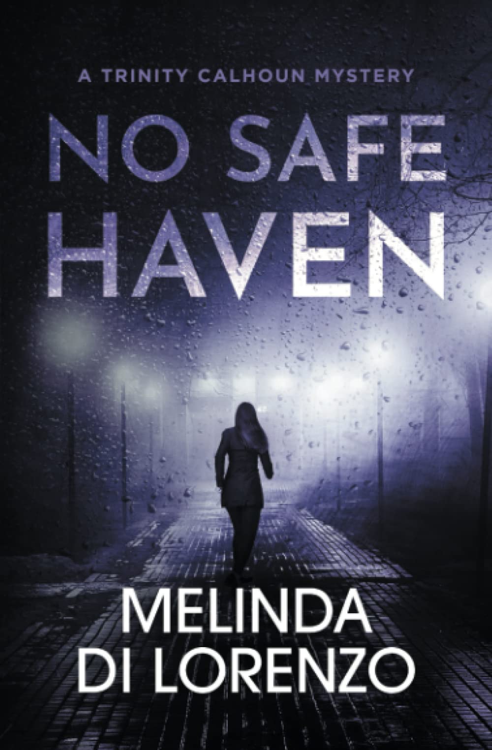 No Safe Haven (Trinity Calhoun Mystery)