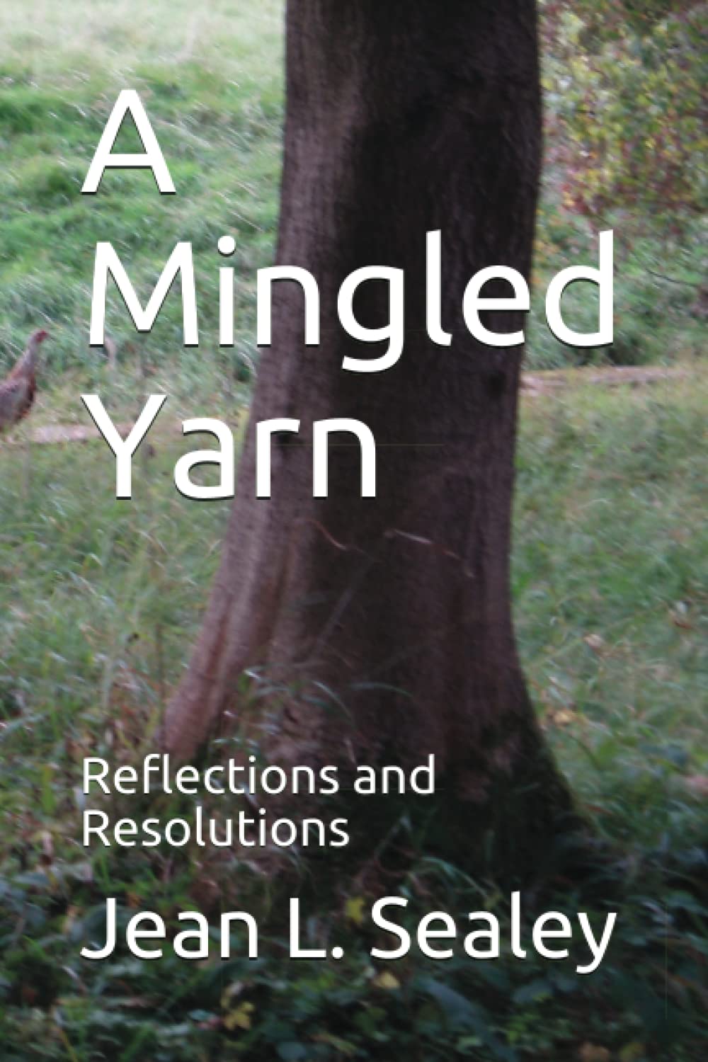 A Mingled Yarn: Reflections and Resolutions