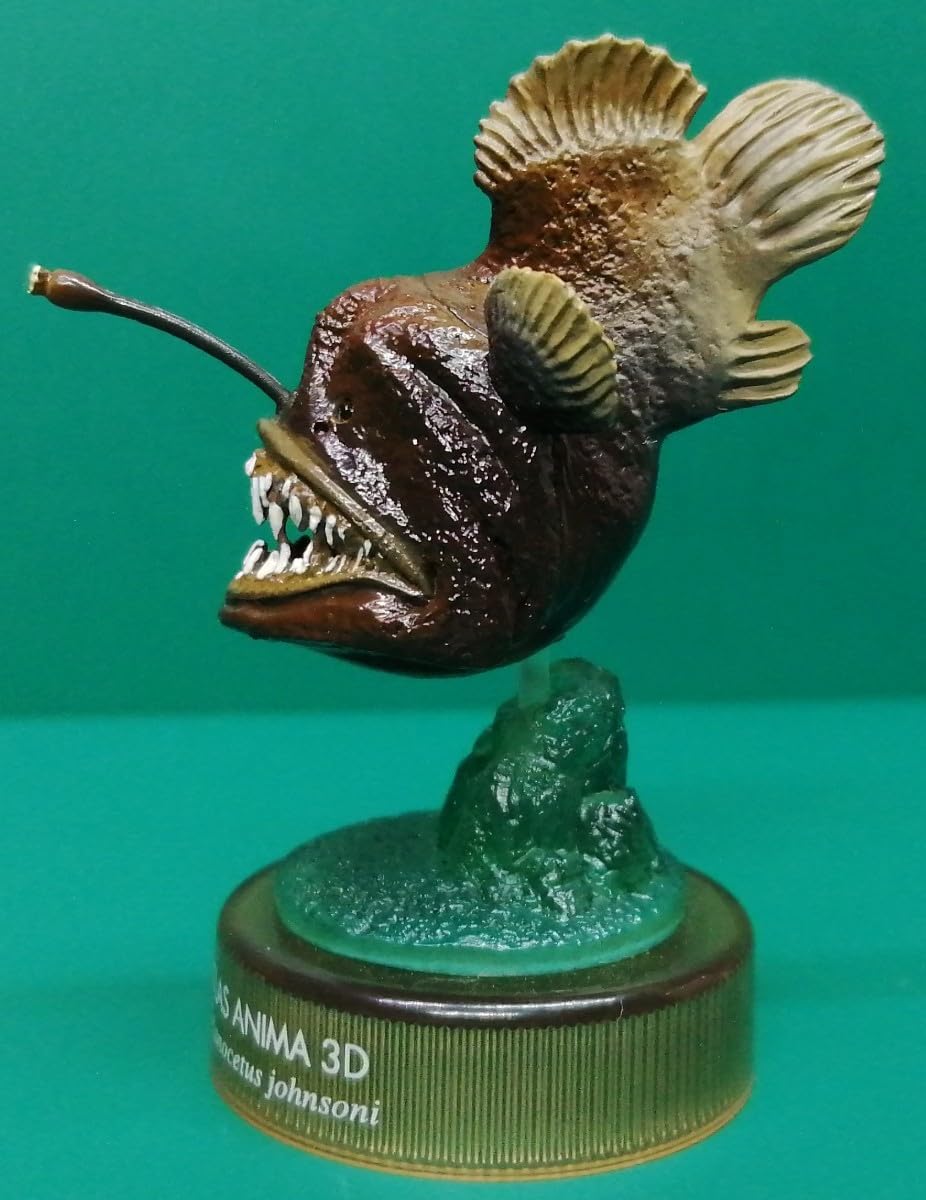 Amazon | ペリカンアンコウ 世界博物画立体図録 あんこう アンコウ