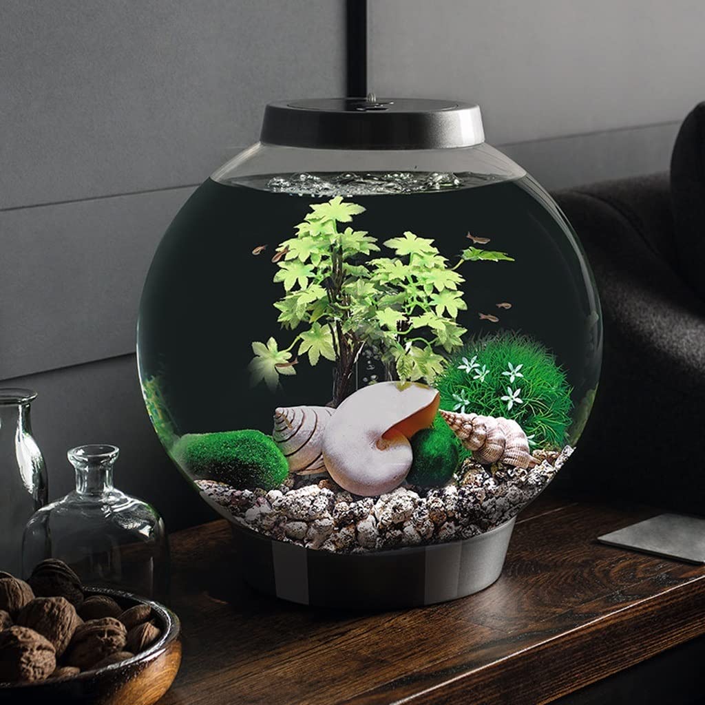 Personalidad del Acuario Tanque De Peces Redondo Creativo Acuario Pequeño Interior del Hogar Sala De Estar Oficina Moda Paisajismo Acuario De Escritorio 15L Decoraciones para Peceras