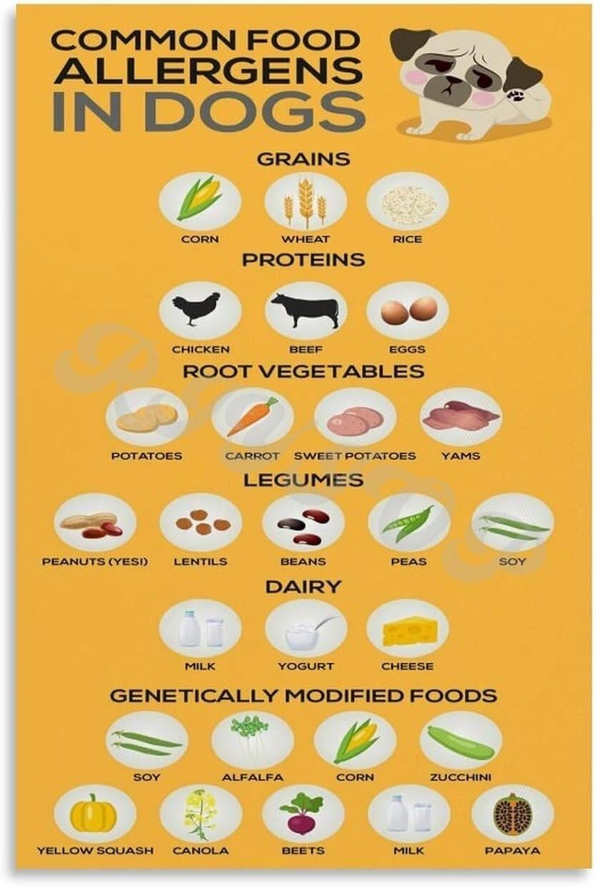 BIANMTSW Poster für Hundegesundheit, visueller Leitfaden für Lebensmittel, Hunde sollten nicht essen, Wanddekoration für haustierfreundliche Häuser, gerahmt, 40 x 60 cm