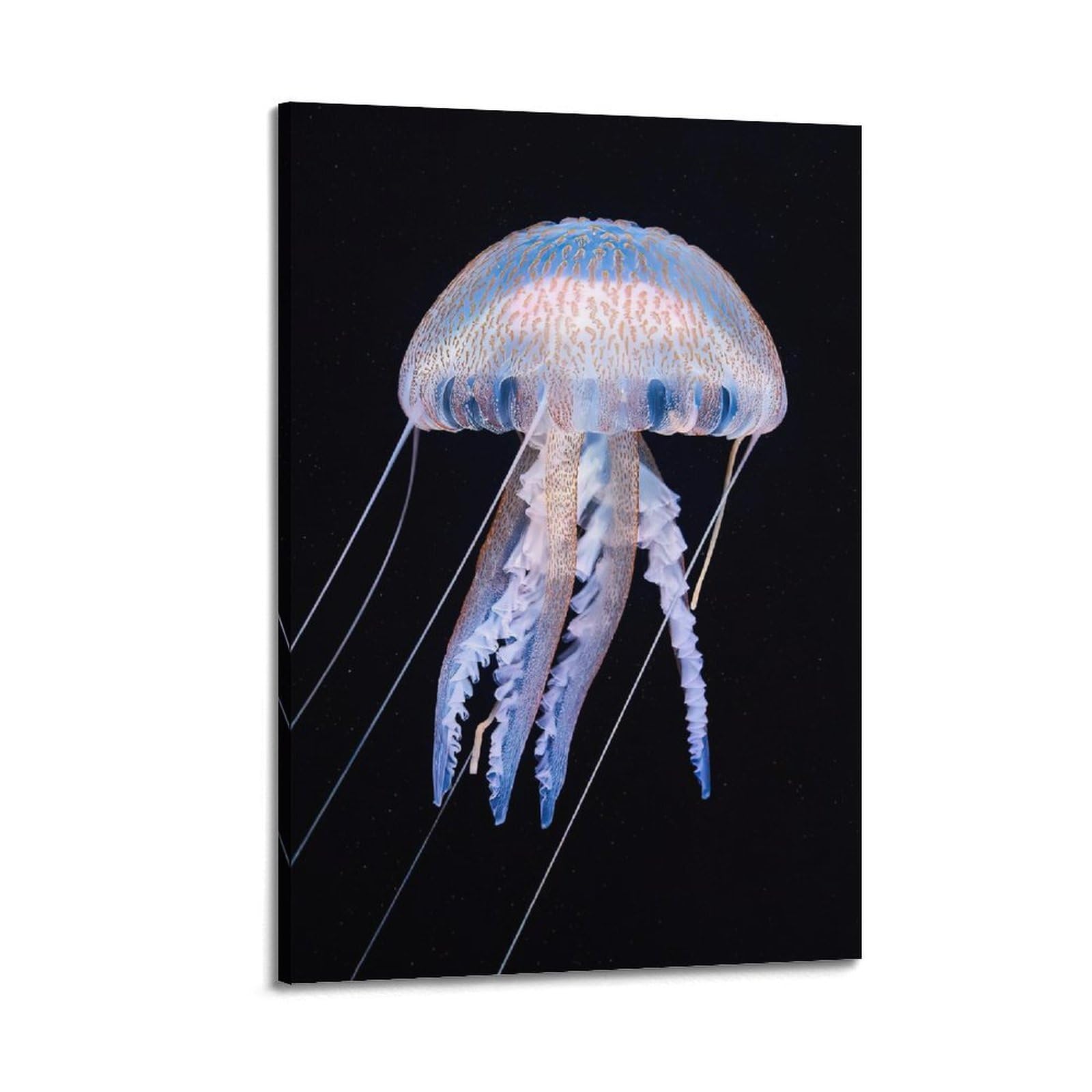 WPHSFX Marine Animal Poster Spotty Jellyfish Dreamscape Poster Decorative Painting Canvas Wall Posters And Art Picture Print Modern Family Bedroom Decor Posters 20x30inch(50x75cm)